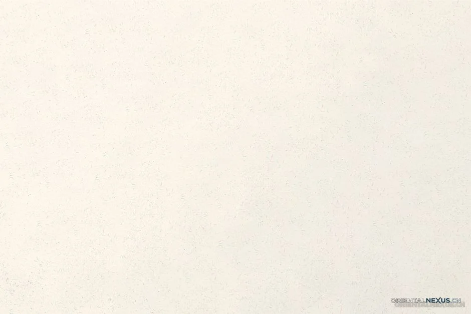 一张背景图，就能毁掉整个品牌主页的高级感——我用这三招解决了-具象智联 Orientalnexus.cn