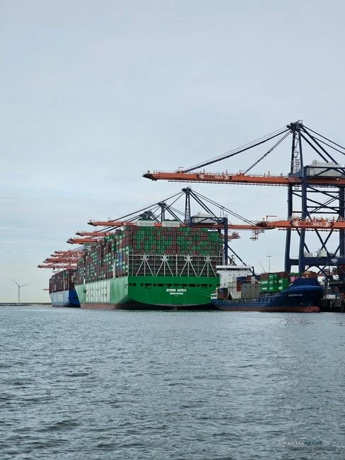 cargo/dock/shipside/container/loading