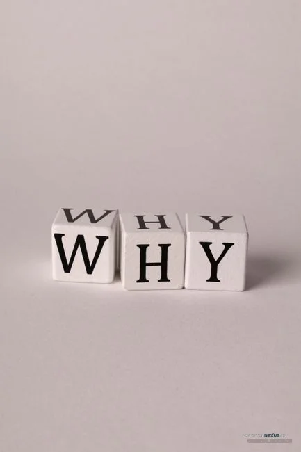 inquiry distribution conversion rate funnel lead debrief loss reason template weekly meeting rule system