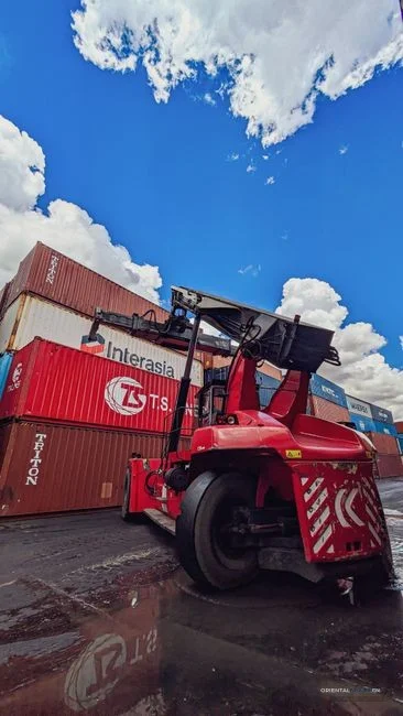 shipping containers/industrial manufacturing/export port/Electric vehicles/African market