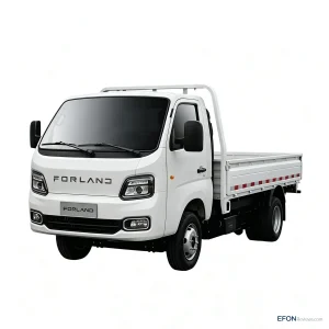 FORLAND T5 MINI TRUCK-