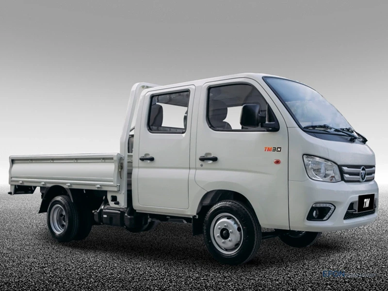 Image [4]-TRUCK MATE-